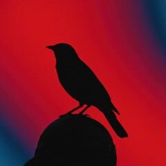 Obraz premium Psychedelic Bird Silhouette