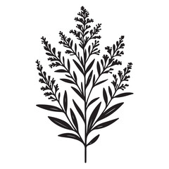 Elegant Goldenrod Flower Illustration for Floral and Nature Designs