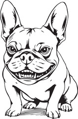 French bulldog. Vector illustration	