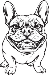 French bulldog. Vector illustration	