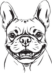 French bulldog. Vector illustration	