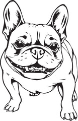 French bulldog. Vector illustration	