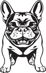 French bulldog. Vector illustration	