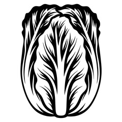 Monochrome Illustration of Napa Cabbage Head, Simple and Elegant Design Element