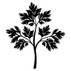 Obraz premium Monochrome illustration of a sprig of parsley with detailed leaf structure
