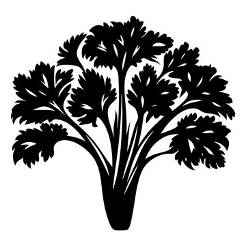 black parsley plant silhouette on white clip art preview