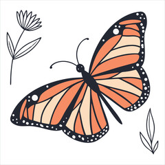 butterfly on a white background