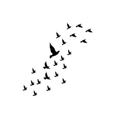 Birds flying across the sky with outstretched wings, symbolizing freedom, peace, movement, nature, unity, and grace.