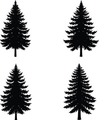 Pine Tree Silhouette vector illustration