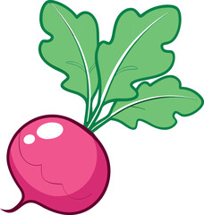 Fresh Red Radish Vector Illustration with Green Leaves and Detailed Design - Ideal for Healthy Food and Agriculture Themes