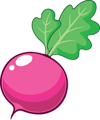 Fresh Red Radish Vector Illustration with Green Leaves and Detailed Design - Ideal for Healthy Food and Agriculture Themes