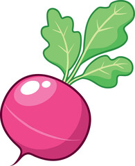 Fresh Red Radish Vector Illustration with Green Leaves and Detailed Design - Ideal for Healthy Food and Agriculture Themes