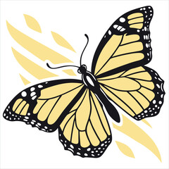 butterfly on a white background