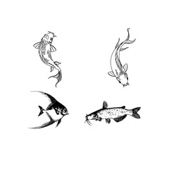 Colorful fish swimming gracefully, symbolizing nature, marine life, tranquility, underwater beauty, freedom, and aquatic ecosystem diversity.