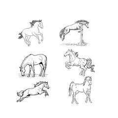 set of horses vector