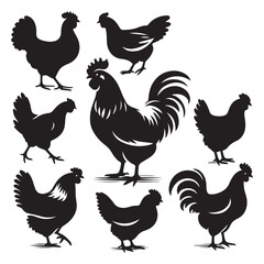 Black Chicken Vector Illustration Graphics Downloadable Farm Animal Collection