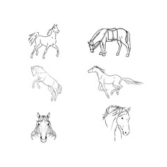 set of horses