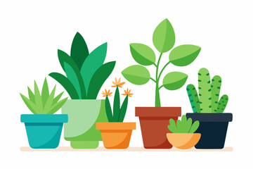 Obraz premium green plant in pot