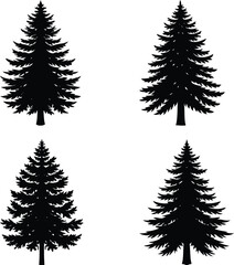 Pine Tree Silhouette vector illustration
