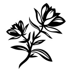 Monochrome Floral Art Illustration with Elegant Outlines and Detailed Leaf Structure