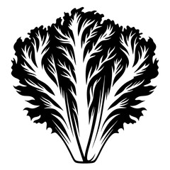 Obraz premium Monochromatic Stylized Lettuce Head Illustration with Intricate Leaf Vein Details and Edges