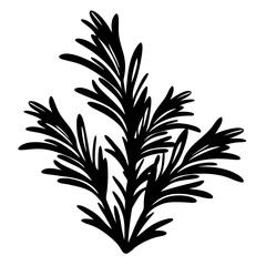Simple Black and White Illustration of Rosemary Herb Sprigs with Dense Foliage