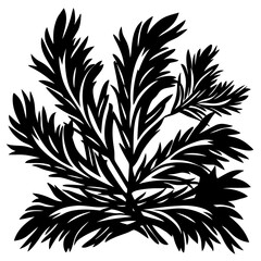 Abstract Silhouette of Fernlike Plant with Pointed Leaves on a White Background