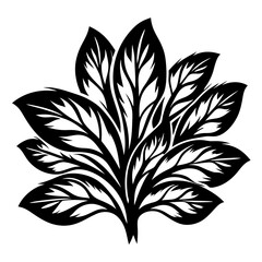 Black and white vector image of abstracted leaves in a radial arrangement