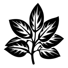 Bold black and white botanical design featuring stylized leaf structure