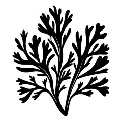 Dramatic Silhouette of Seaweed or Coral Against a Stark White Background