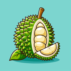 vector illustration of a durian