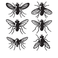 Vector Silhouette Illustrations of Fly Insect Collection for Science Education