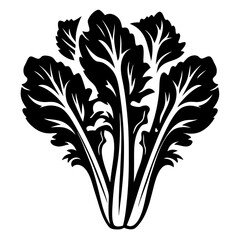 Black and white vector illustration of leafy greens on white background