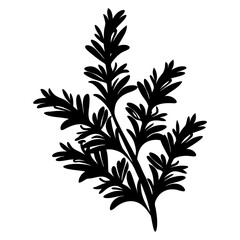 Black silhouette of a leafy plant against a white background illustration