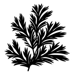 Botanical silhouette of a stylized feathery plant with finely divided leaves