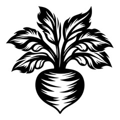 Stylized Beetroot Illustration with Bold Black and White Design Elements