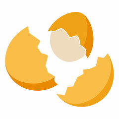 Broken egg vector on white background.