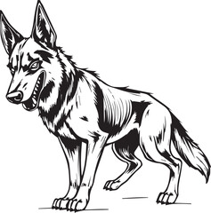 Black and White German Shepherd Vector Illustration