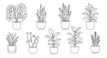 Line Drawing House Plants: A collection of intricate line drawings showcasing a variety of potted houseplants, emphasizing their unique leaf shapes and textures in an artistic, minimalist style.