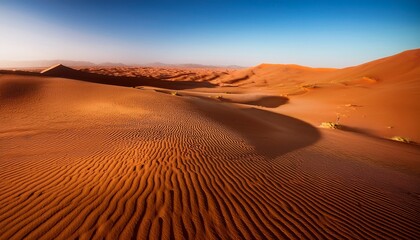 Sahara desert in the Mauritania