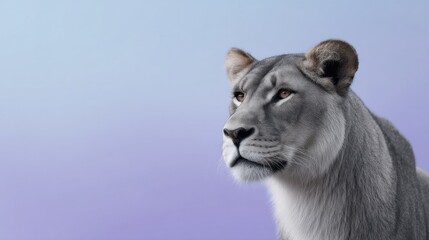 capture fierce gaze of animal vividly highlighted against vibrant neon color background