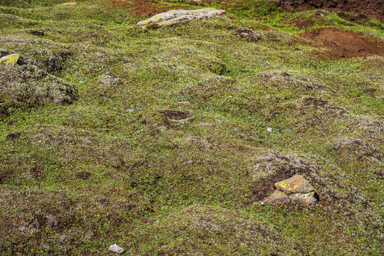 Frost heave occurs in cold climates when the ground freezes. It involves the upward movement of soil caused by the formation and expansion of ice within the ground.