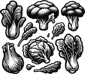  Fresh Vegetables Vector Set – Colorful Organic Food Illustration.