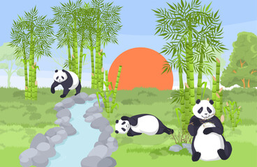 Panda bears are seen relaxing and playing in a lush bamboo forest during the evening. A picturesque sunset adds a warm glow to the serene landscape, enhancing the natural beauty.