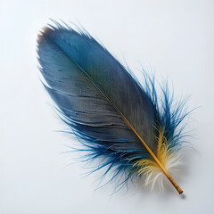 A striking orange, blue and brown feather lies gracefully on a pristine white background. 