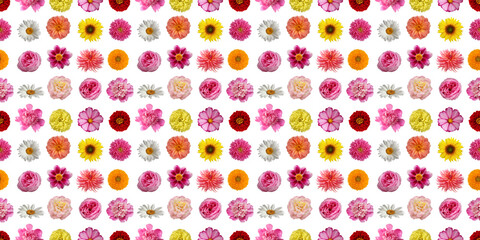 Colorful flower heads seamless pattern on white background