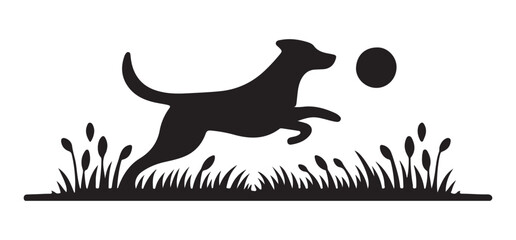 Energetic Dog Leaping Silhouette After Ball in Grassy Field