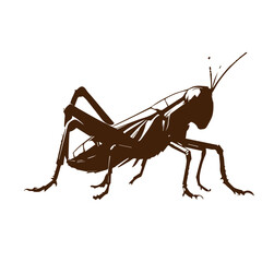 brown grasshopper icon