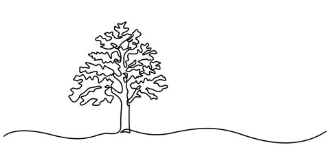 Continuous line drawing of tree on white background. Vector illustration, Continuous line drawing of a tree. Nature one line art. Vector illustration, trees for decorating gardens, park, forest. pro. 