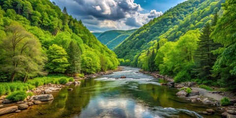 Serene landscape of Pine Creek Gorge in Pennsylvania with lush greenery and water flowing through the valley, Landscape, Scenic View